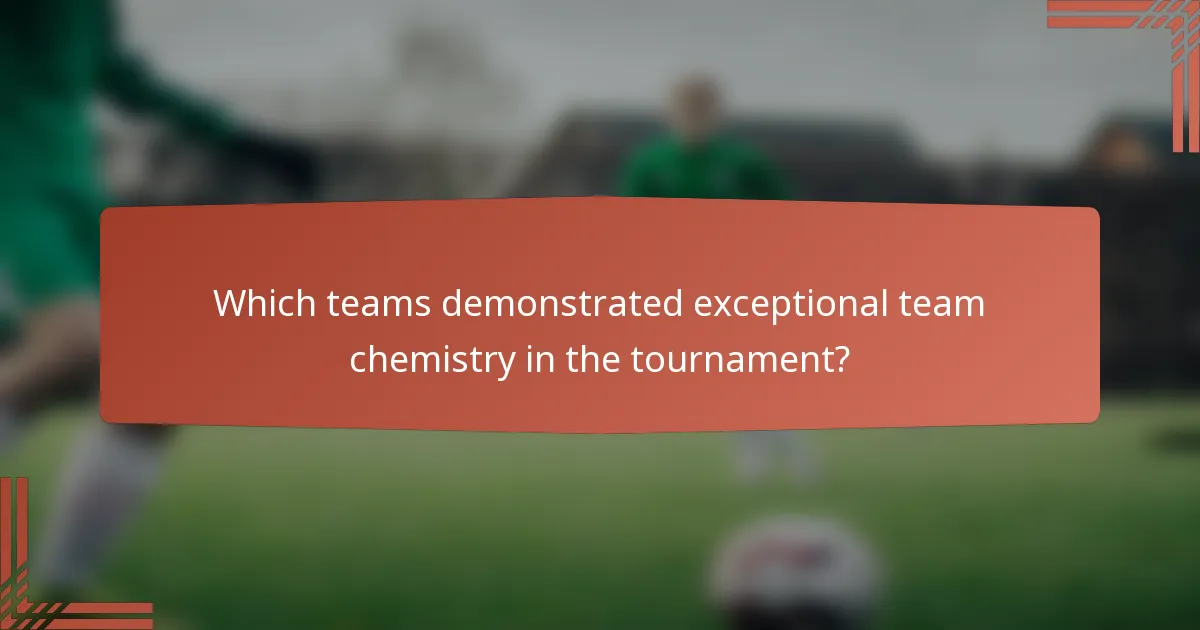 Which teams demonstrated exceptional team chemistry in the tournament?